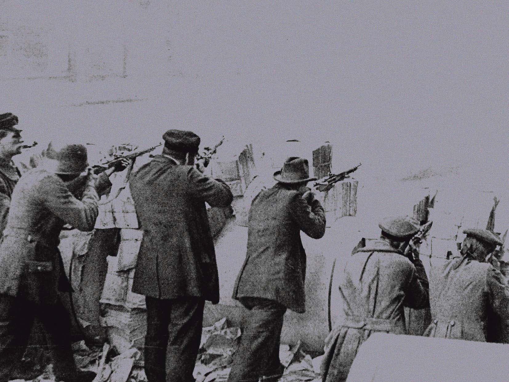 The murder of Rosa Luxemburg